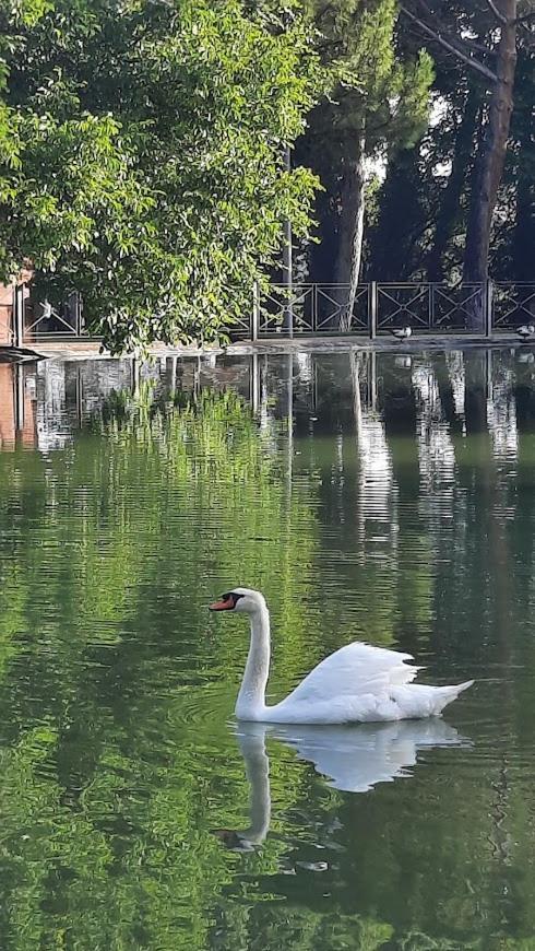 Aromas Del Jiloca Apartman Calamocha Kültér fotó